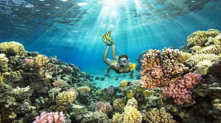 you will have lunch.